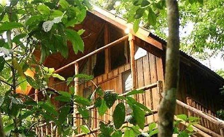 Bayrams Tree Houses Olympos Extérieur photo