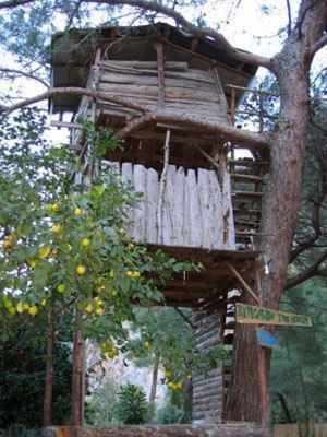 Bayrams Tree Houses Olympos Chambre photo