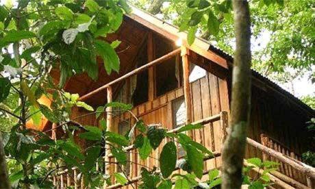 Bayrams Tree Houses Olympos Extérieur photo