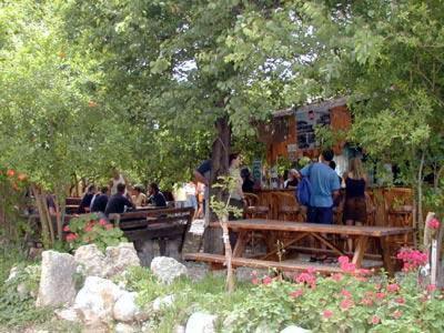 Bayrams Tree Houses Olympos Extérieur photo
