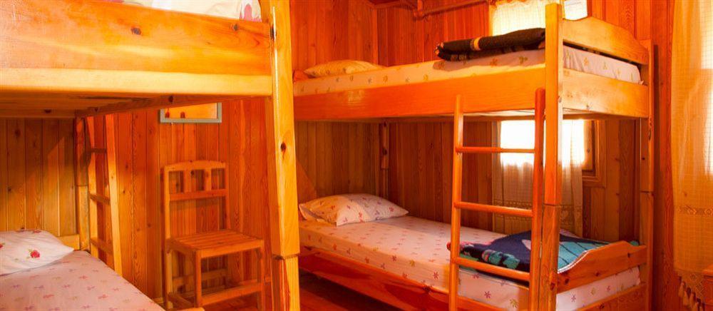 Bayrams Tree Houses Olympos Extérieur photo