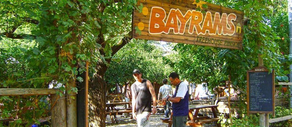Bayrams Tree Houses Olympos Extérieur photo