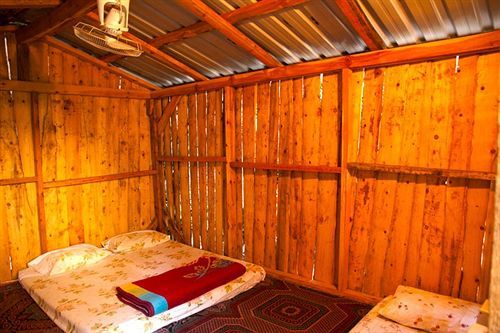 Bayrams Tree Houses Olympos Extérieur photo