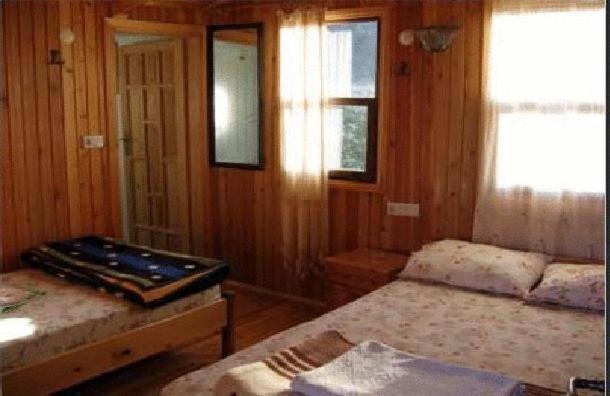 Bayrams Tree Houses Olympos Extérieur photo
